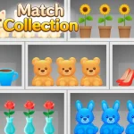Match Collection Play Match Collection online free