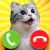 Play Komaru cat online free